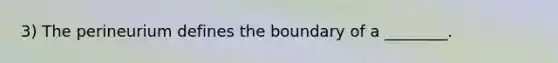 3) The perineurium defines the boundary of a ________.