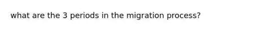 what are the 3 periods in the migration process?