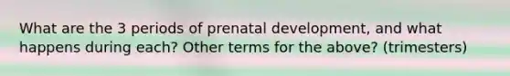 What are the 3 periods of prenatal development, and what happens during each? Other terms for the above? (trimesters)