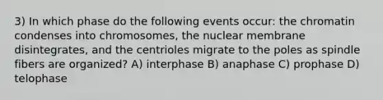 3) In which phase do the following events occur: the chromatin condenses into chromosomes, the nuclear membrane disintegrates, and the centrioles migrate to the poles as spindle fibers are organized? A) interphase B) anaphase C) prophase D) telophase