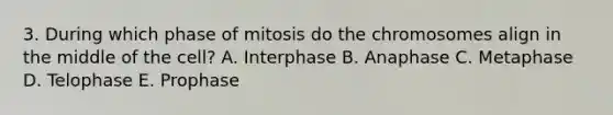 3. During which phase of mitosis do the chromosomes align in the middle of the cell? A. Interphase B. Anaphase C. Metaphase D. Telophase E. Prophase