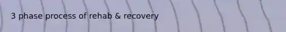 3 phase process of rehab & recovery