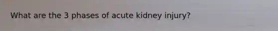 What are the 3 phases of acute kidney injury?