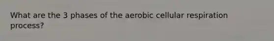 What are the 3 phases of the aerobic <a href='https://www.questionai.com/knowledge/k1IqNYBAJw-cellular-respiration' class='anchor-knowledge'>cellular respiration</a> process?