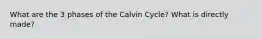 What are the 3 phases of the Calvin Cycle? What is directly made?