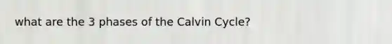 what are the 3 phases of the Calvin Cycle?