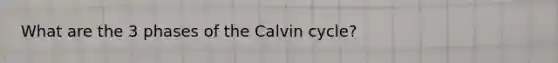 What are the 3 phases of the Calvin cycle?