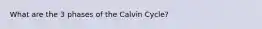 What are the 3 phases of the Calvin Cycle?