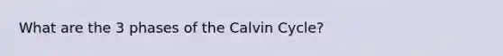 What are the 3 phases of the Calvin Cycle?