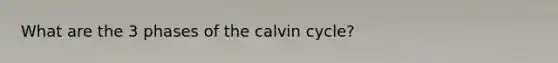 What are the 3 phases of the calvin cycle?