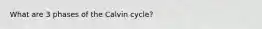 What are 3 phases of the Calvin cycle?