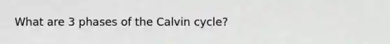 What are 3 phases of the Calvin cycle?