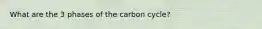 What are the 3 phases of the carbon cycle?