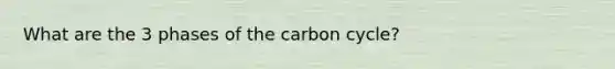 What are the 3 phases of the carbon cycle?