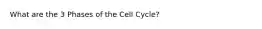 What are the 3 Phases of the Cell Cycle?