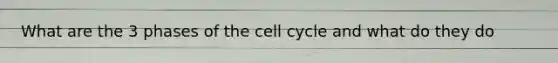 What are the 3 phases of the cell cycle and what do they do