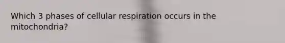 Which 3 phases of <a href='https://www.questionai.com/knowledge/k1IqNYBAJw-cellular-respiration' class='anchor-knowledge'>cellular respiration</a> occurs in the mitochondria?