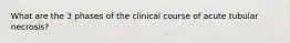 What are the 3 phases of the clinical course of acute tubular necrosis?