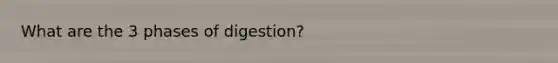 What are the 3 phases of digestion?