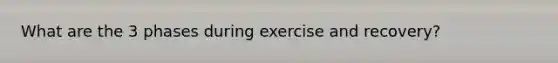 What are the 3 phases during exercise and recovery?