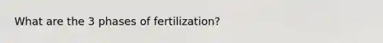 What are the 3 phases of fertilization?