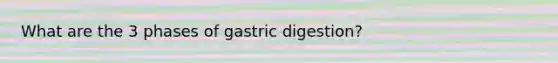 What are the 3 phases of gastric digestion?