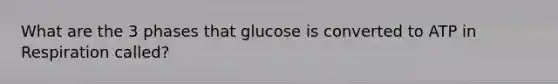 What are the 3 phases that glucose is converted to ATP in Respiration called?