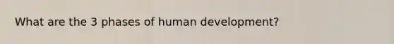 What are the 3 phases of human development?