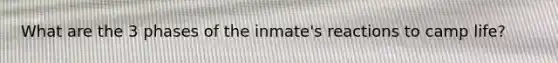 What are the 3 phases of the inmate's reactions to camp life?