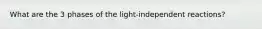 What are the 3 phases of the light-independent reactions?