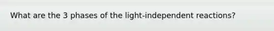 What are the 3 phases of the light-independent reactions?