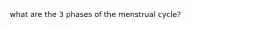 what are the 3 phases of the menstrual cycle?