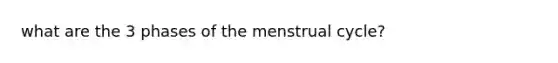 what are the 3 phases of the menstrual cycle?