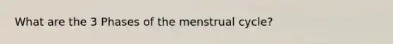 What are the 3 Phases of the menstrual cycle?