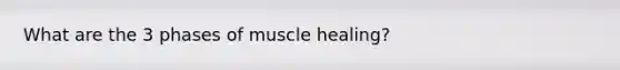 What are the 3 phases of muscle healing?