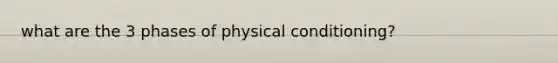 what are the 3 phases of physical conditioning?