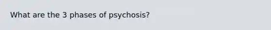 What are the 3 phases of psychosis?