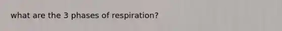 what are the 3 phases of respiration?