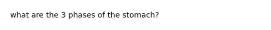 what are the 3 phases of the stomach?