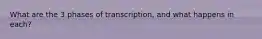 What are the 3 phases of transcription, and what happens in each?