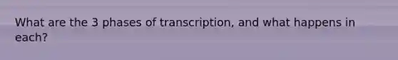 What are the 3 phases of transcription, and what happens in each?