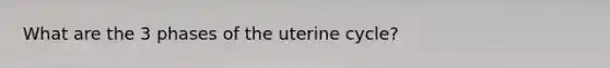 What are the 3 phases of the uterine cycle?