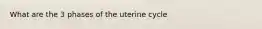 What are the 3 phases of the uterine cycle