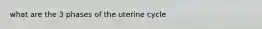 what are the 3 phases of the uterine cycle