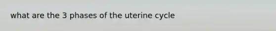 what are the 3 phases of the uterine cycle