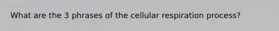 What are the 3 phrases of the cellular respiration process?