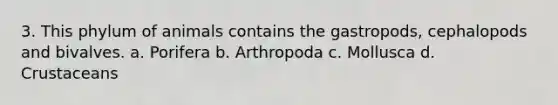 3. This phylum of animals contains the gastropods, cephalopods and bivalves. a. Porifera b. Arthropoda c. Mollusca d. Crustaceans