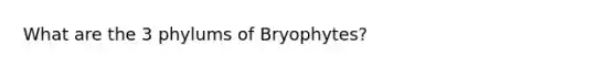 What are the 3 phylums of Bryophytes?