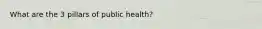 What are the 3 pillars of public health?