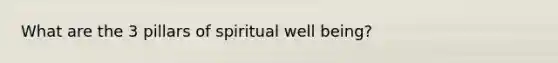 What are the 3 pillars of spiritual well being?